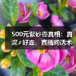 500元紫砂壶真相:真泥≠好壶,直播间话术陷阱全解析(图4) 500元紫砂壶真相:真泥≠好壶,直播间话术陷阱全解析(图4)