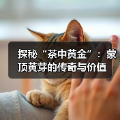 探秘“茶中黄金”：蒙顶黄芽的传奇与价值（图2）