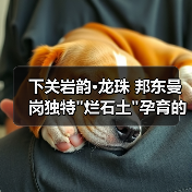 下关岩韵·龙珠 邦东曼岗独特 下关岩韵·龙珠 邦东曼岗独特