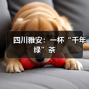 四川雅安:一杯“千年绿”茶(图3) 四川雅安:一杯“千年绿”茶(图3)