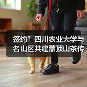 签约！四川农业大学与名山区共建蒙顶山茶传统工艺工作站（图2）