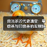 普洱茶近代史演变:号级茶与印级茶的发展脉络(图3) 普洱茶近代史演变:号级茶与印级茶的发展脉络(图3)
