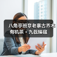 八角亭班章老寨古乔木有机茶 · 九载臻藏（图3）