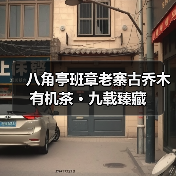 八角亭班章老寨古乔木有机茶 · 九载臻藏（图4）