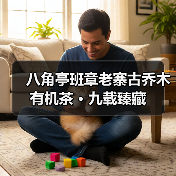 八角亭班章老寨古乔木有机茶 · 九载臻藏（图1）