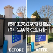 政和工夫红茶有哪些品种?品质特点全解析(图2) 政和工夫红茶有哪些品种?品质特点全解析(图2)