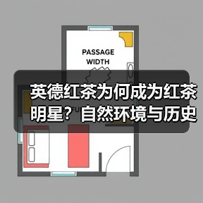 英德红茶为何成为红茶明星?自然环境与历史背书揭秘(图4) 英德红茶为何成为红茶明星?自然环境与历史背书揭秘(图4)