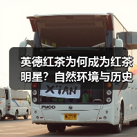英德红茶为何成为红茶明星?自然环境与历史背书揭秘(图1) 英德红茶为何成为红茶明星?自然环境与历史背书揭秘(图1)