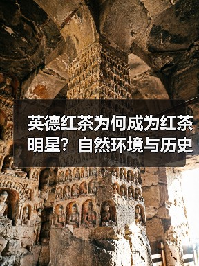 英德红茶为何成为红茶明星?自然环境与历史背书揭秘(图3) 英德红茶为何成为红茶明星?自然环境与历史背书揭秘(图3)