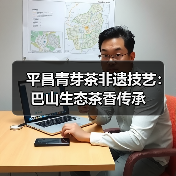 平昌青芽茶非遗技艺：巴山生态茶香传承（图3）
