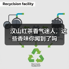 汉山红茶香气迷人,这些香味你闻到了吗(图3) 汉山红茶香气迷人,这些香味你闻到了吗(图3)