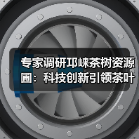 专家调研邛崃茶树资源圃：科技创新引领茶叶种业振兴（图1）