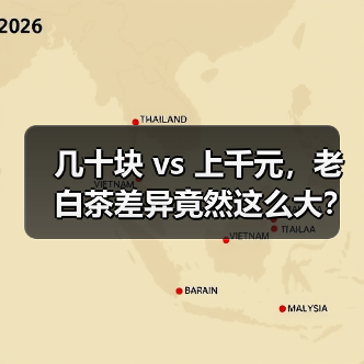 几十块 vs 上千元,老白茶差异竟然这么大?(图2) 几十块 vs 上千元,老白茶差异竟然这么大?(图2)