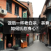 饭后一杯老白茶,茶香如何抚慰身心?(图1) 饭后一杯老白茶,茶香如何抚慰身心?(图1)