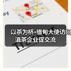 以茶为桥·缅甸大使访问滇茶企业促交流（图3）