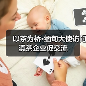 以茶为桥·缅甸大使访问滇茶企业促交流（图4）