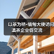 以茶为桥·缅甸大使访问滇茶企业促交流（图1）