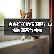 宜兴红茶值得喝吗?口感醇厚香气独特(图2) 宜兴红茶值得喝吗?口感醇厚香气独特(图2)