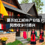 夏茶加工延伸产业链 村民增收乡村振兴（图4）