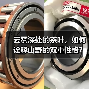 云雾深处的茶叶,如何诠释山野的双重性格?(图1) 云雾深处的茶叶,如何诠释山野的双重性格?(图1)