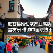 旺苍县推动茶产业高质量发展 借助中国茶协平台打响广元黄茶品牌（图3）