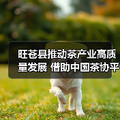 旺苍县推动茶产业高质量发展 借助中国茶协平台打响广元黄茶品牌（图4）