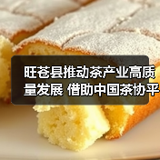 旺苍县推动茶产业高质量发展 借助中国茶协平台打响广元黄茶品牌（图1）
