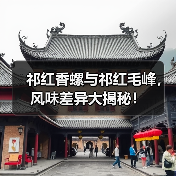 祁红香螺与祁红毛峰,风味差异大揭秘!(图2) 祁红香螺与祁红毛峰,风味差异大揭秘!(图2)
