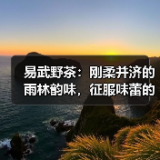 易武野茶:刚柔并济的雨林韵味,征服味蕾的野性魅力(图1) 易武野茶:刚柔并济的雨林韵味,征服味蕾的野性魅力(图1)