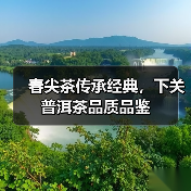 春尖茶传承经典,下关普洱茶品质品鉴(图3) 春尖茶传承经典,下关普洱茶品质品鉴(图3)