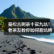 曼松古树茶十买九坑!老茶友教你如何避坑辨别真假(图4) 曼松古树茶十买九坑!老茶友教你如何避坑辨别真假(图4)
