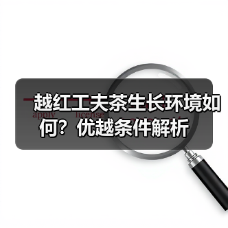 越红工夫茶生长环境如何?优越条件解析(图4) 越红工夫茶生长环境如何?优越条件解析(图4)