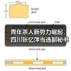 青年茶人新势力崛起,四川张忆萍当选副秘书长引领创新发展(图1) 青年茶人新势力崛起,四川张忆萍当选副秘书长引领创新发展(图1)