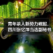 青年茶人新势力崛起,四川张忆萍当选副秘书长引领创新发展(图3) 青年茶人新势力崛起,四川张忆萍当选副秘书长引领创新发展(图3)