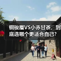 铜骏眉VS小赤甘茶,到底选哪个更适合自己?(图1) 铜骏眉VS小赤甘茶,到底选哪个更适合自己?(图1)