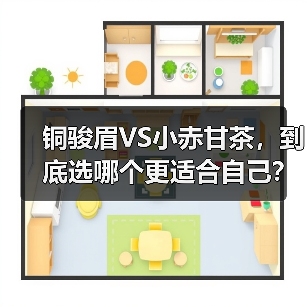 铜骏眉VS小赤甘茶,到底选哪个更适合自己?(图4) 铜骏眉VS小赤甘茶,到底选哪个更适合自己?(图4)