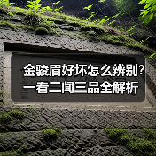 金骏眉好坏怎么辨别？一看二闻三品全解析（图3）
