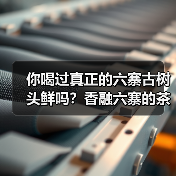 你喝过真正的六寨古树头鲜吗?香融六寨的茶韵秘境(图3) 你喝过真正的六寨古树头鲜吗?香融六寨的茶韵秘境(图3)