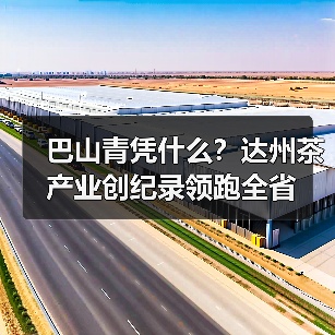 巴山青凭什么?达州茶产业创纪录领跑全省(图2) 巴山青凭什么?达州茶产业创纪录领跑全省(图2)