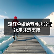 滇红金螺的营养功效与饮用注意事项