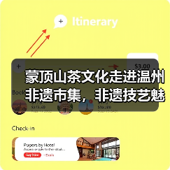 蒙顶山茶文化走进温州非遗市集,非遗技艺魅力展(图3) 蒙顶山茶文化走进温州非遗市集,非遗技艺魅力展(图3)