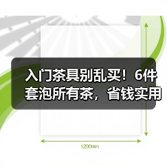 入门茶具别乱买！6件套泡所有茶，省钱实用不踩雷（图4）
