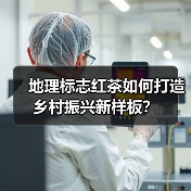 地理标志红茶如何打造乡村振兴新样板?(图3) 地理标志红茶如何打造乡村振兴新样板?(图3)