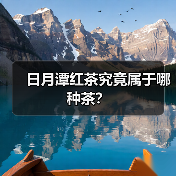 日月潭红茶究竟属于哪种茶？