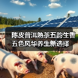 陈皮普洱熟茶五韵生香 五色风华养生新选择(图4) 陈皮普洱熟茶五韵生香 五色风华养生新选择(图4)