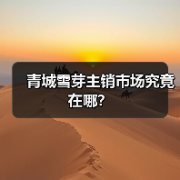 青城雪芽主销市场究竟在哪？（图3）