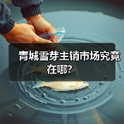 青城雪芽主销市场究竟在哪？（图2）