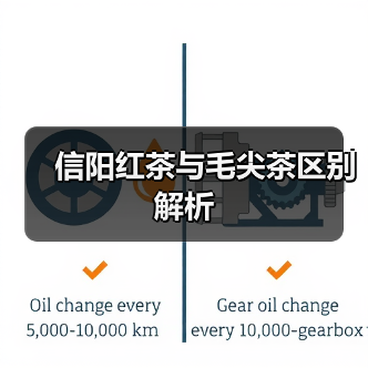 信阳红茶与毛尖茶区别解析（图2）