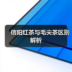 信阳红茶与毛尖茶区别解析（图3）