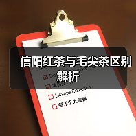 信阳红茶与毛尖茶区别解析